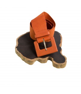 Cinture CTLD67162