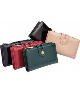 CARTERA PEQUEÑA DE...