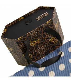 Coveri 222301