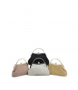 FEIERLICHE CLUTCH MIC6086